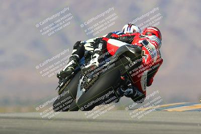 media/Jan-13-2024-SoCal Trackdays (Sat) [[9c032fe5aa]]/Turn 9 Backside (110pm)/